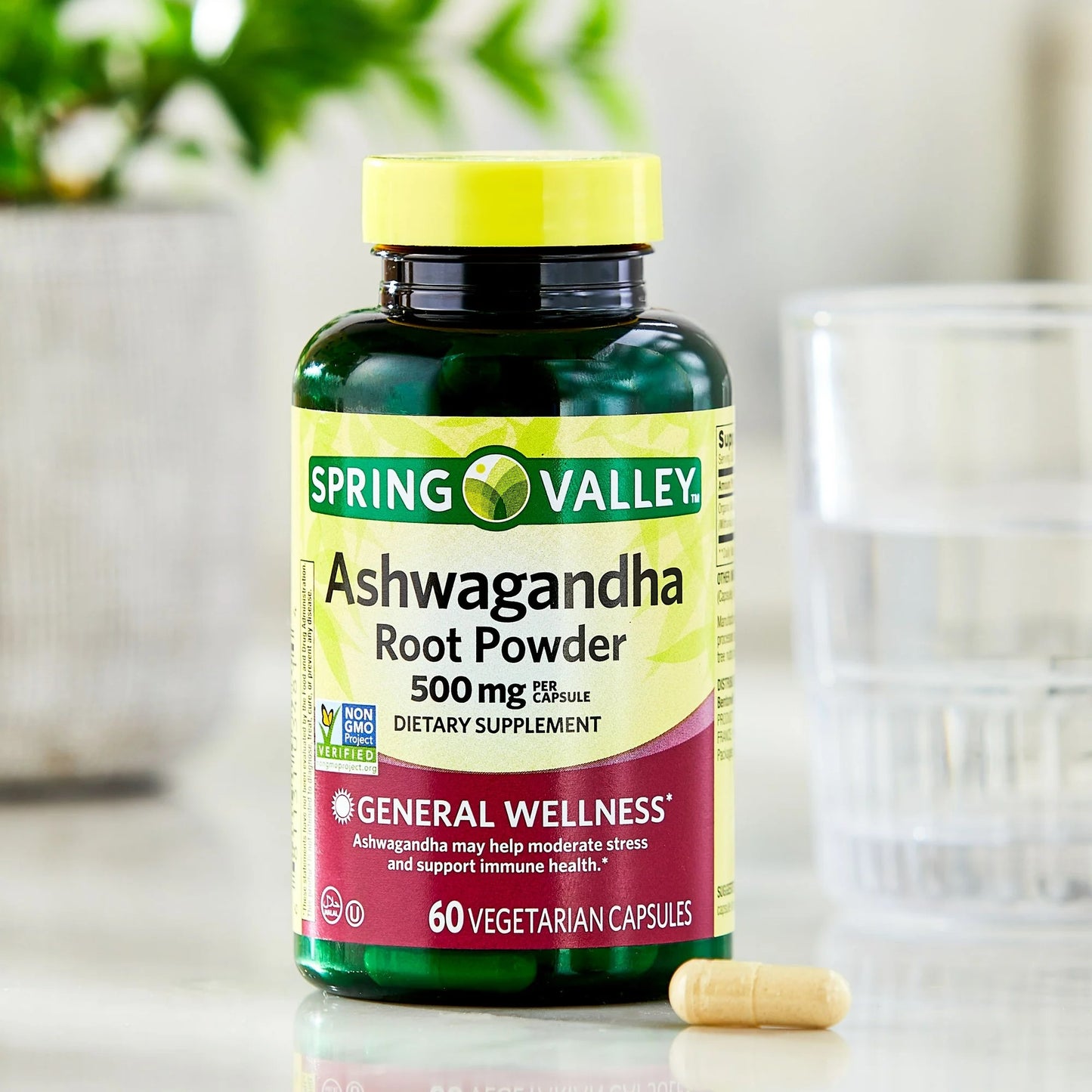 Ashwagandha Pó de Raiz 500mg 60 Cápsulas - Spring Valley