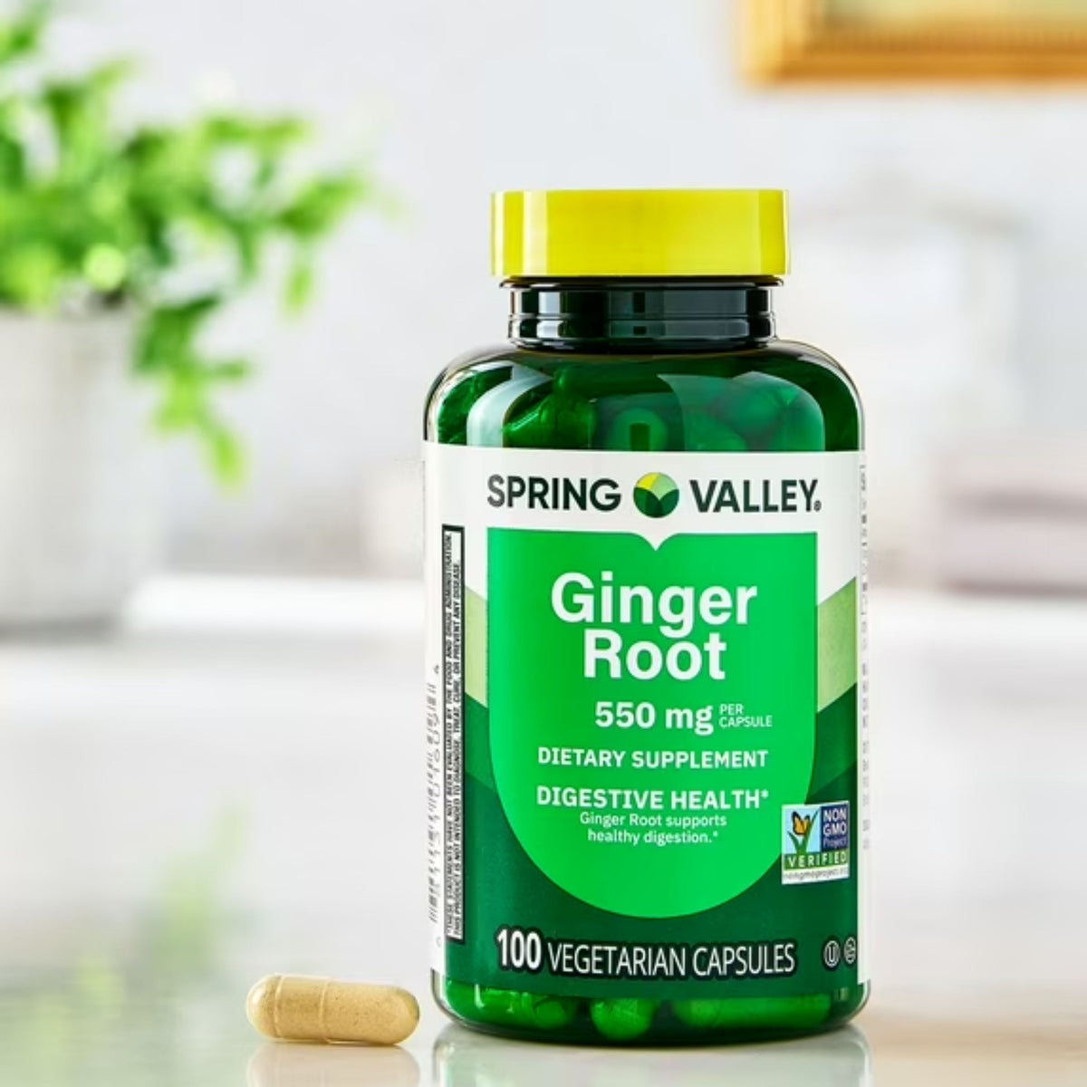 Raíz de Gengibre 550mg 100 Cápsulas - Spring Valley