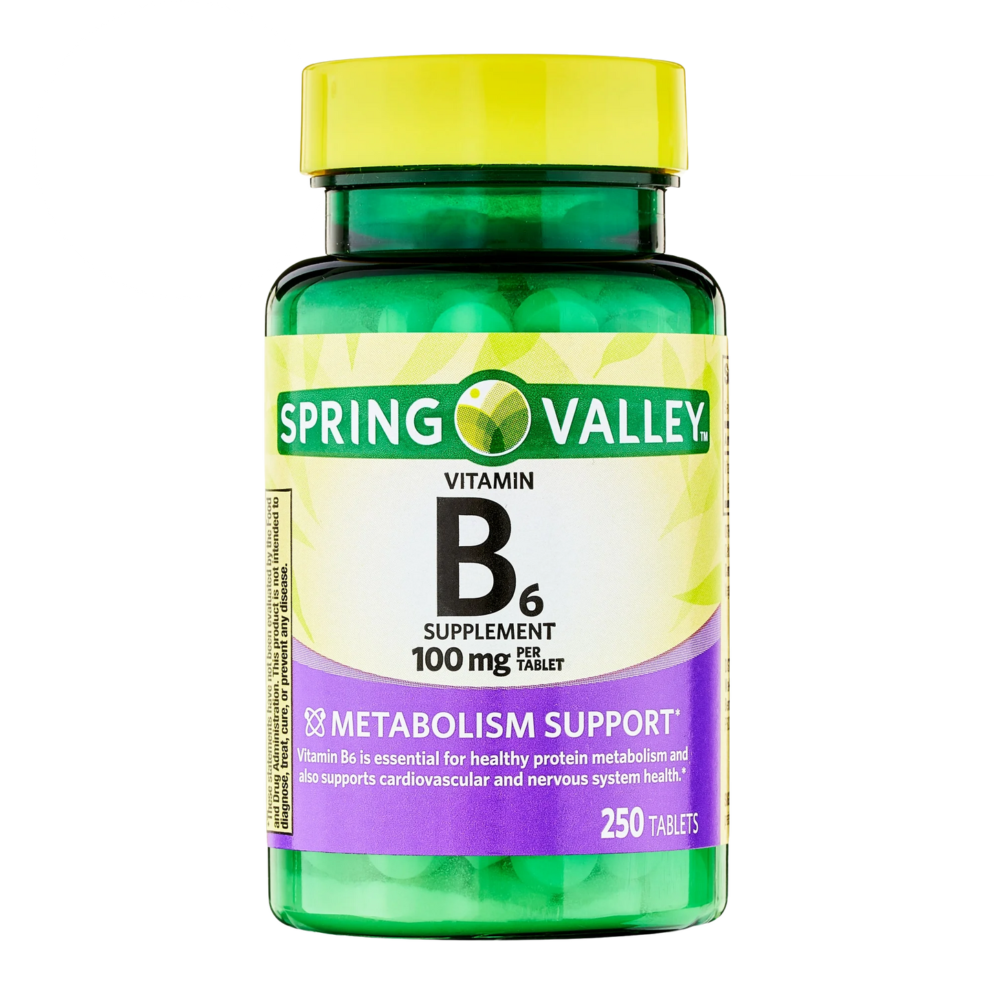 Vitamina B6 100mg 250 Tabletes - Spring Valley