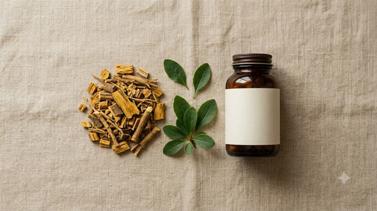 Raiz de berberina em tons ocre ao lado de folhas verdes e um frasco de suplemento — berberina para o metabolismo da glicose
