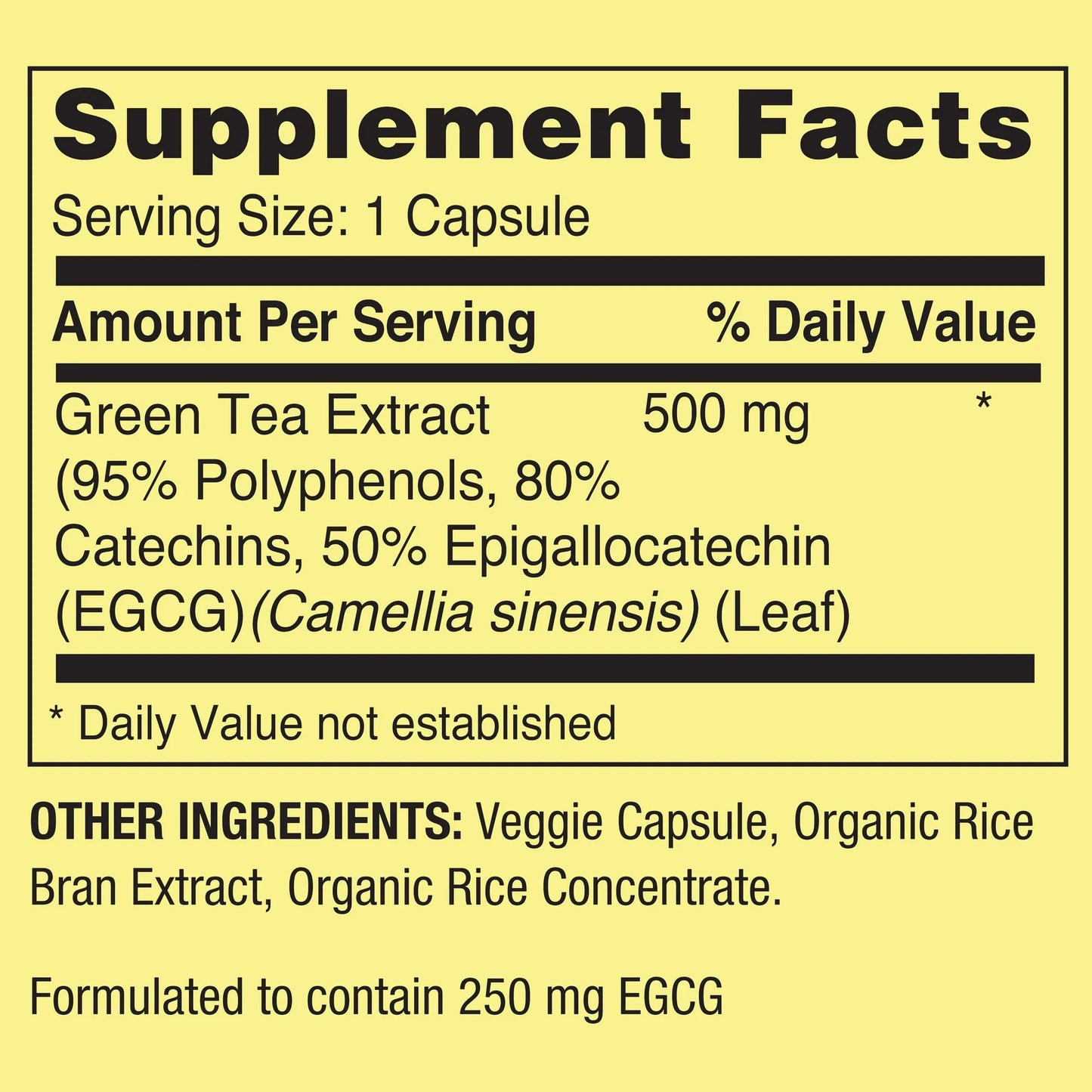 Extrato de Chá Verde 500mg com 60 Cápsulas Vegetarianas - Spring Valley