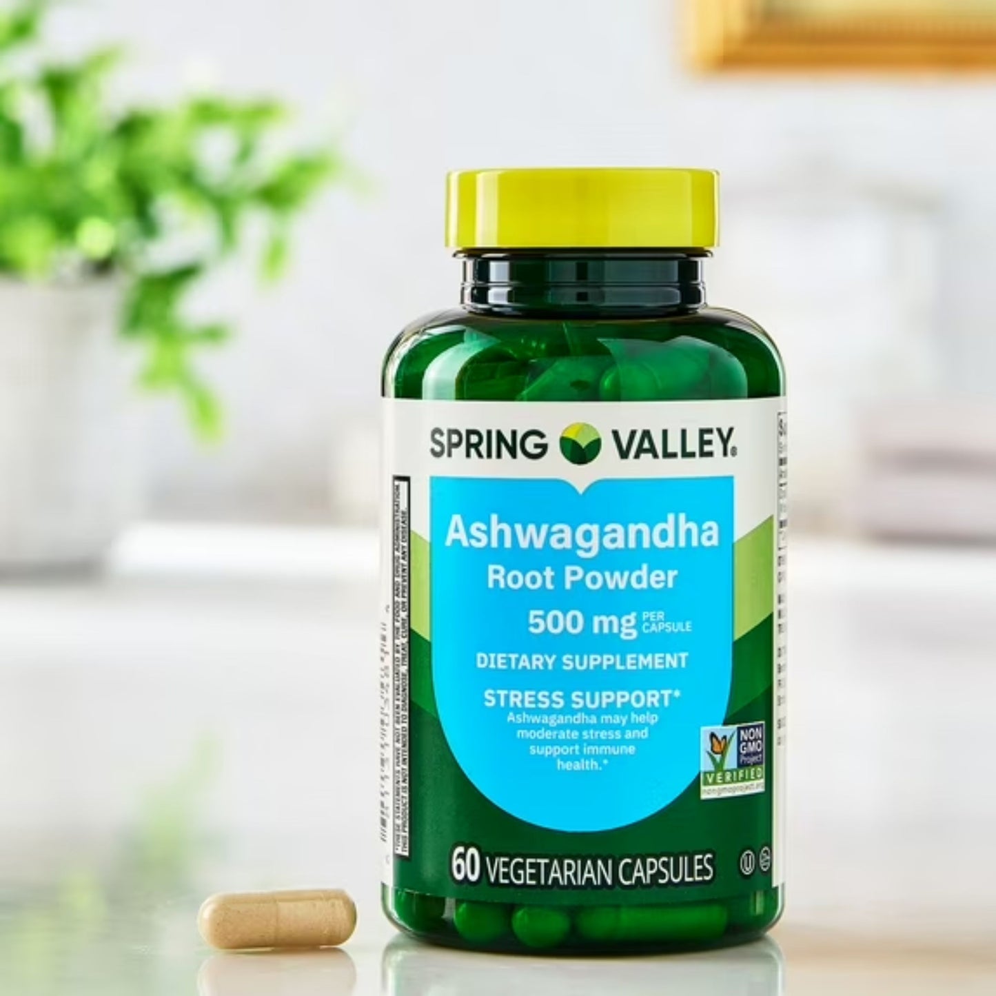 Ashwagandha Pó de Raiz 500mg 60 Cápsulas - Spring Valley