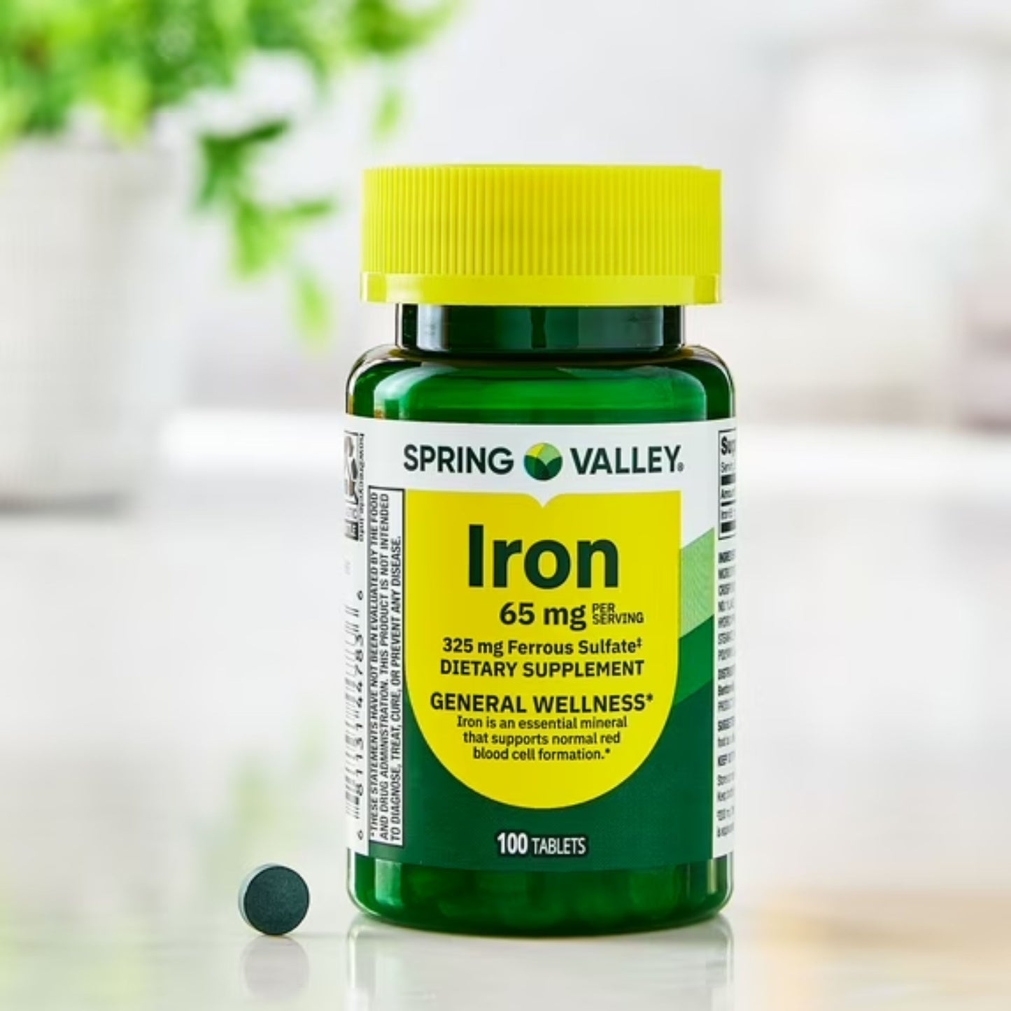 Ferro 65mg com 100 Tabletes - Spring Valley
