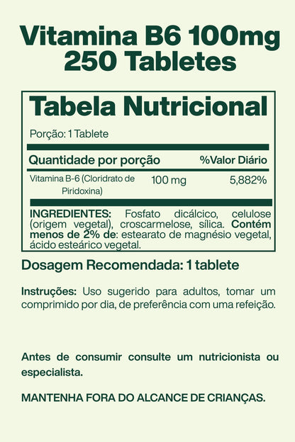 Vitamina B6 100mg 250 Tabletes - Spring Valley