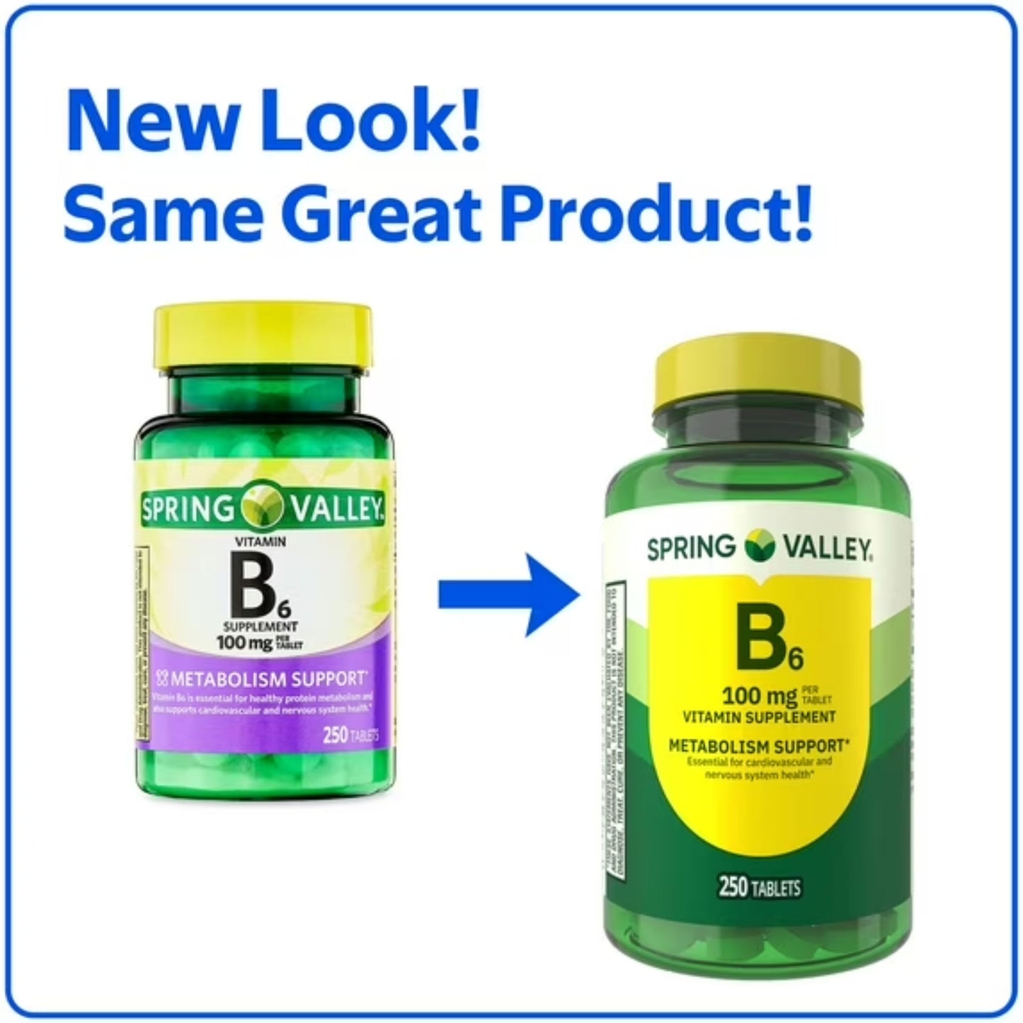 Vitamina B6 100mg 250 Tabletes - Spring Valley